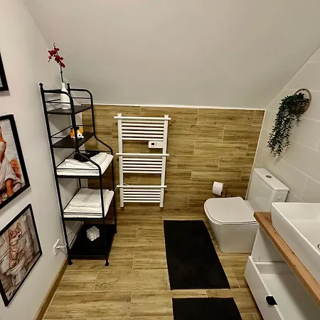 Gusti * Brašov