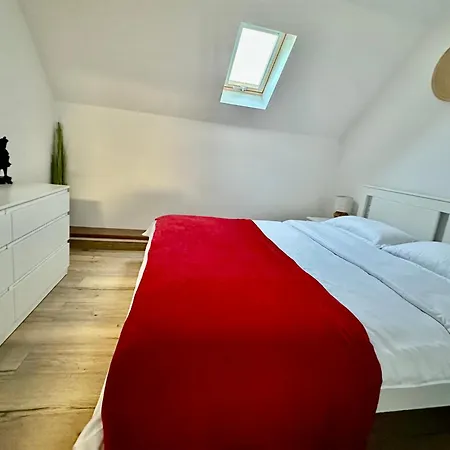 Gusti Brašov