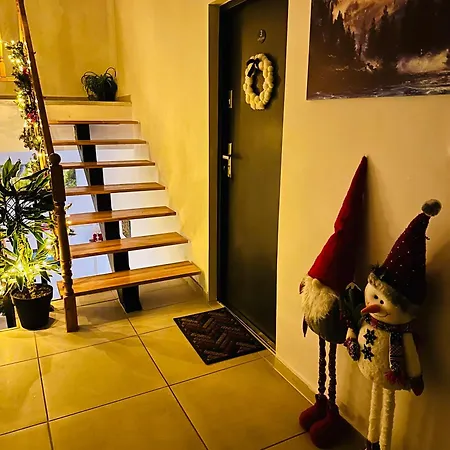 Apartmán Gusti Brašov