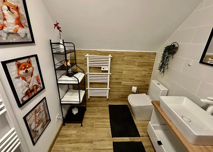 Gusti * 布拉索夫