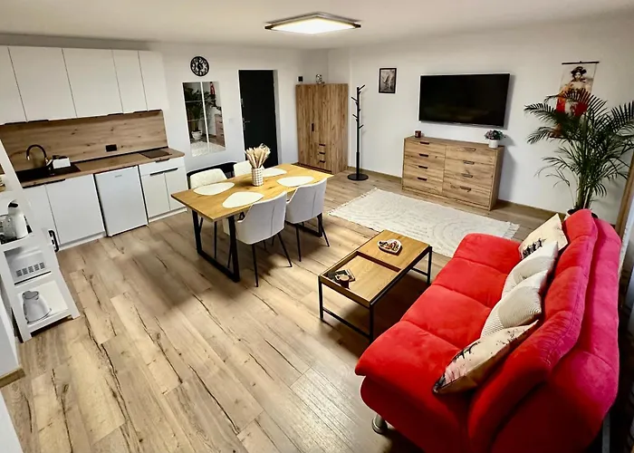 Gusti * 布拉索夫